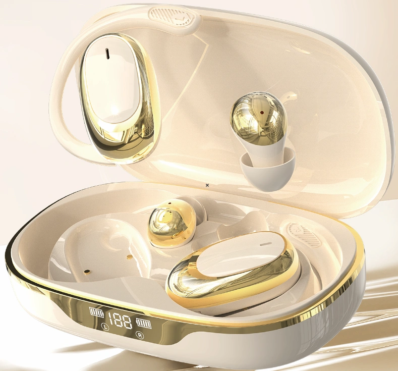 FD520Mini Dual-style Earbuds