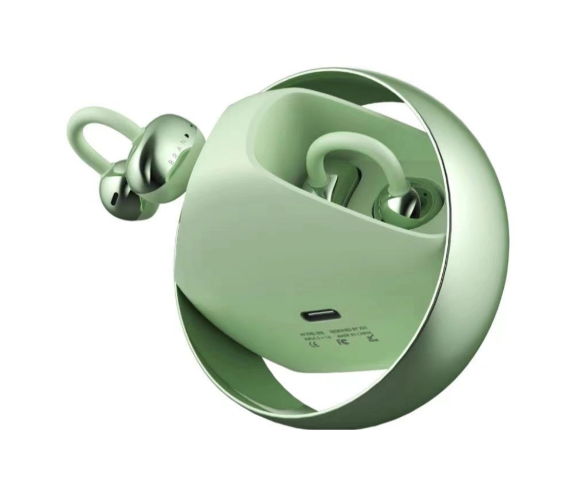 SR01Dual Earbuds