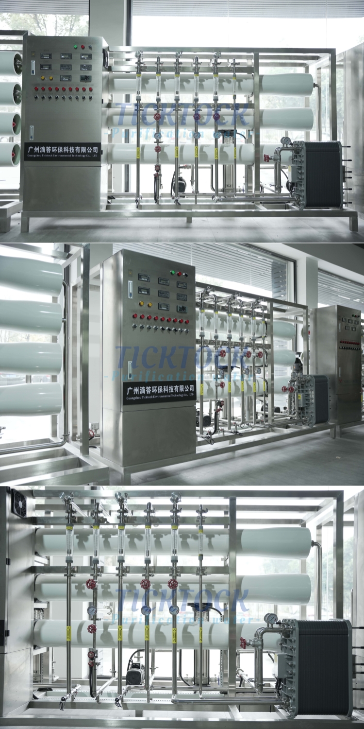 2000L/H Double Stage RO + EDI Ultrapure Water System, Industrial High Purity Water Treatment Plant